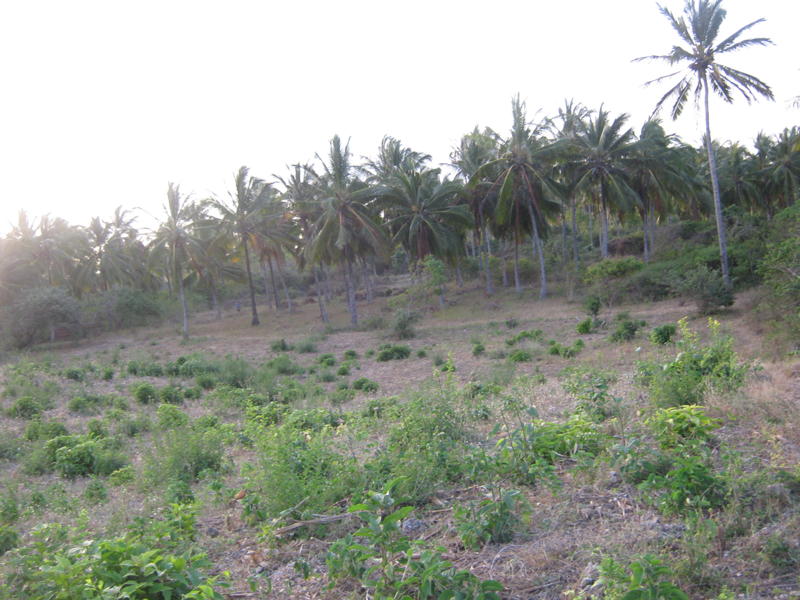 Kilifi Beach Plot